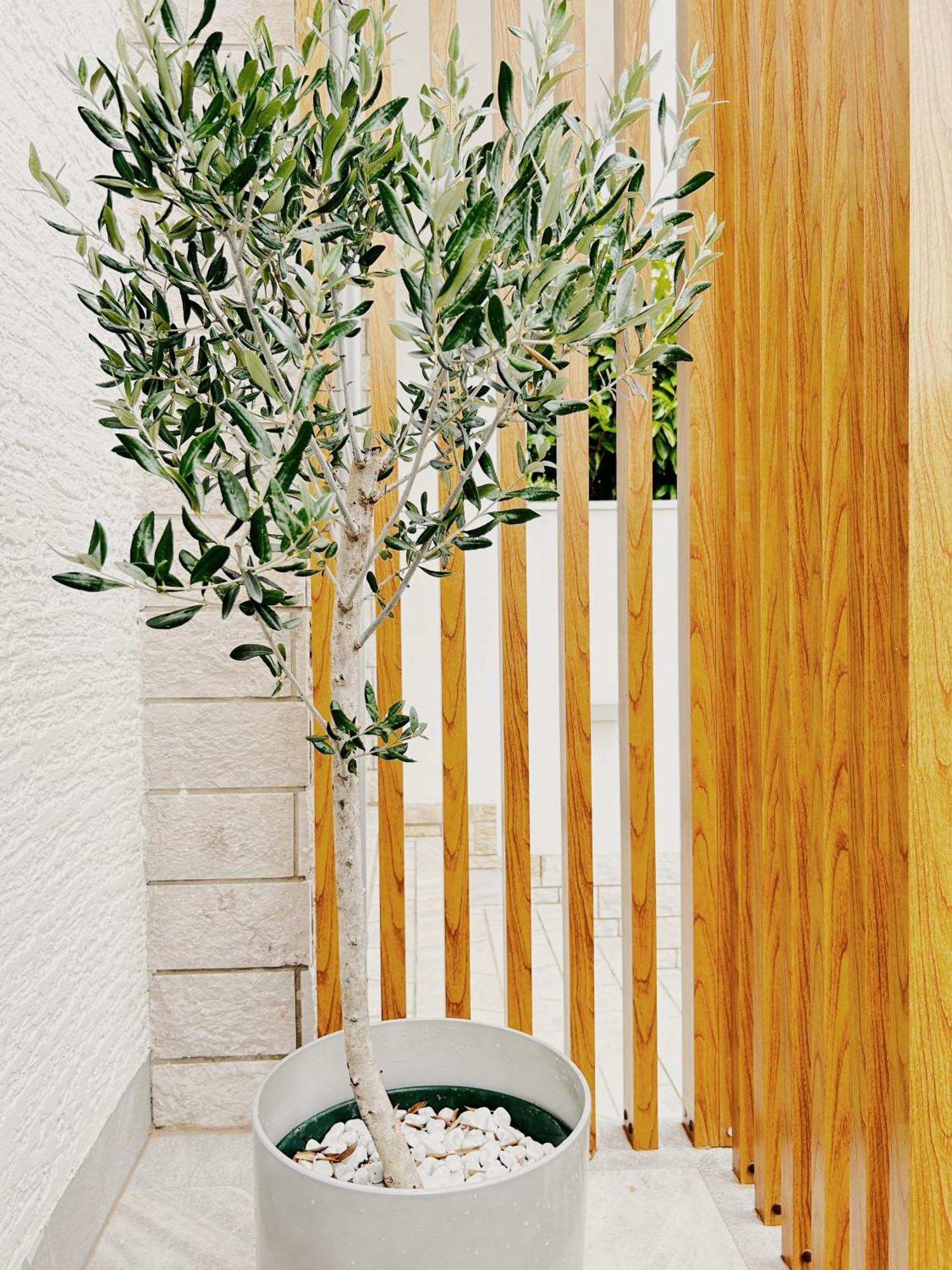 Sunny House Apartman